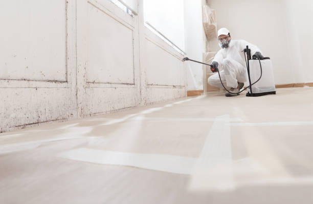 24/7 Emergency Mold Remediation experts in Boston, VA