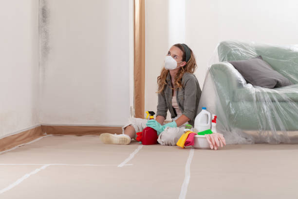 Reliable Mold Remediation contractor in Boston, VA by WQB Mold Removal
